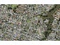 3/36G Nikau Street, New Lynn, Auckland - Carousel 1