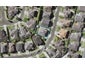 56 Salford Crescent, Flat Bush, Auckland - Carousel 1