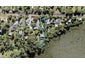41 Pohutukawa Road, Whenuapai, Auckland - Carousel 1