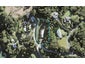 1 Riverhaven Drive, Wade Heads, Whangaparaoa - Carousel 1