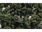 83 Wilma Road, Ostend, Waiheke Island - Carousel 1