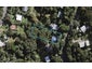 65 Hill Road, Palm Beach, Waiheke Island - Carousel 1