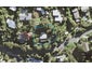 201 Wade River Road, Wade Heads, Whangaparaoa - Carousel 1
