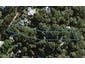 3 Hillside Road, Ostend, Waiheke Island - Carousel 1