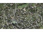4 Tetley Road, Surfdale, Waiheke Island - Carousel 1