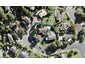 5 Babington Place, Torbay, Auckland - Carousel 1