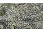 226 Glamorgan Drive, Northcross, Auckland - Carousel 1