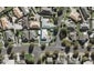 52 Gadsby Road, Favona, Auckland - Carousel 1