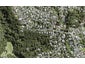 188 Glengarry Road, Glen Eden, Auckland - Carousel 1