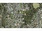 82A Konini Road, Titirangi, Auckland - Carousel 1