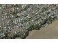 1/64 Norwood Road, Bayswater, Auckland - Carousel 1