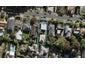 15A Sonia Avenue, Remuera, Auckland - Carousel 1