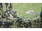 163A Spur Road, Stillwater, Silverdale - Carousel 1