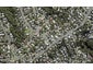1A Anne McLean Drive, Bayview, Auckland - Carousel 1