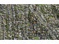 24B Whitney Street, New Windsor, Auckland - Carousel 1