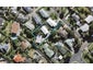 2/2 Mossop Rise, Glenfield, Auckland - Carousel 1