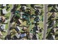 6 Nekuneku Lane, Mount Roskill, Auckland - Carousel 1