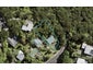 134 Wood Bay Road, Titirangi, Auckland - Carousel 1