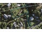 2 Puketutu Rise, Hillsborough, Auckland - Carousel 1