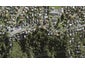366D Hillsborough Road, Hillsborough, Auckland - Carousel 1