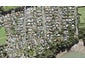 15A Cleve Road, Green Bay, Auckland - Carousel 1