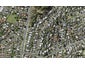 17 Ravenwood Drive, Forrest Hill, Auckland - Carousel 1
