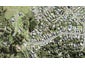 89 Wade River Road, Stanmore Bay, Whangaparaoa - Carousel 1