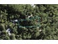 44 Mahoe Road, Titirangi, Auckland - Carousel 1