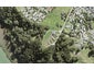 9 Ti Tree Lane, Stanmore Bay, Whangaparaoa - Carousel 1