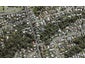 153 Glenfield Road, Hillcrest, Auckland - Carousel 1