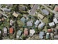 16 Camilla Grove, Totara Vale, Auckland - Carousel 1
