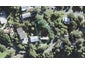 35 Baddeleys Beach Road, Tāwharanui Peninsula, Matakana - Carousel 1