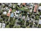 38 Calgary Street, Sandringham, Auckland - Carousel 1