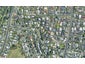 37 Emily Place, Bellevue, Tauranga - Carousel 1