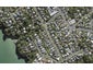 22 Palmerston Road, Birkenhead, Auckland - Carousel 1