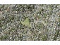 8D Weetman Drive, Browns Bay, Auckland - Carousel 1