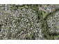 27F Ennis Avenue, Pakuranga Heights, Auckland - Carousel 1