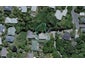 46A Mana Street, Vogeltown, Wellington - Carousel 1