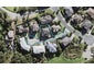 5 Carol Lee Place, Albany Heights, Auckland - Carousel 1