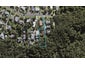 53 Tui Glen Road, Birkenhead, Auckland - Carousel 1