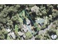 11 Opanuku Road, Henderson Valley, Auckland - Carousel 1