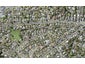 5 Marendellas Drive, Bucklands Beach, Auckland - Carousel 1
