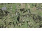 295 Ararimu Road, Ramarama, Drury - Carousel 1