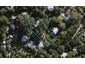 4 Hillside Road, Ostend, Waiheke Island - Carousel 1