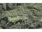 174A Lone Kauri Road, Karekare, Auckland - Carousel 1