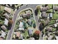 1/3 Fairdale Place, Birkdale, Auckland - Carousel 1