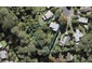 67 Rehia Road, Massey, Auckland - Carousel 1