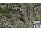 6 Jenanne Place, Totara Vale, Auckland - Carousel 1