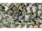 17 Margaret Henry Crescent, Oteha, Auckland - Carousel 1