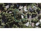 14 Ridgewood Crescent, Birkenhead, Auckland - Carousel 1